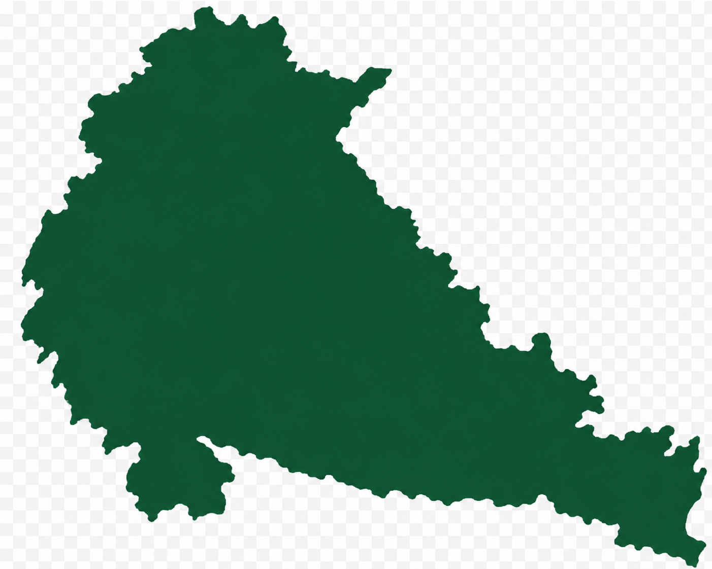 Pune map